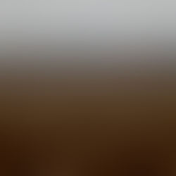 The Farm Bill for Billionaires