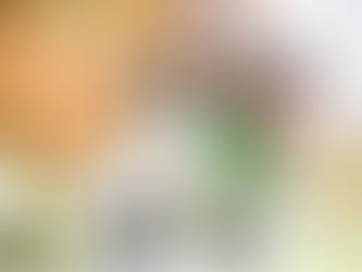 "To the Barricades, Brooklyn Yuppies!"