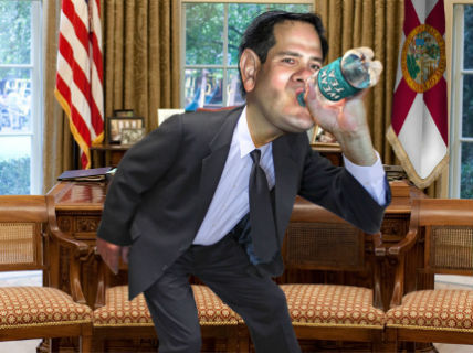 Little Marco Disses DREAMers