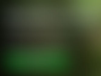 Obamacare's Failure To Enroll the Young Gets Health Insurers Downgraded* by Moody's