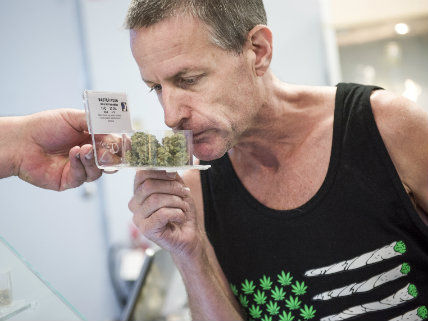 Legal Medical Pot Helps Older Americans Remain in the Workforce