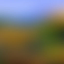 Predictions of the Death of Wilderness May Be a Bit Premature