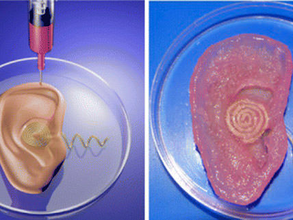 The Disgusting, Amazing Printed Ear
