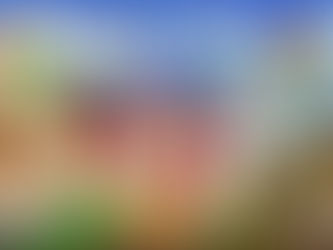 Karl Rove: "The most liberal Republican is Justin Amash"