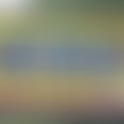 Everyone Has a Right to Call Politicians "Idiots" …