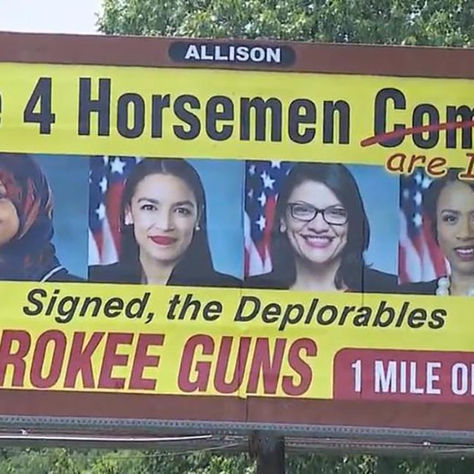 Everyone Has a Right to Call Politicians "Idiots" …