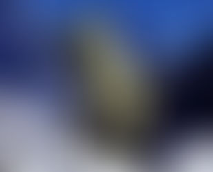 No, Jonathan Chait, I Never Hinted That Having a Swiss Bank Account Amounts to 'heroic rebellion'