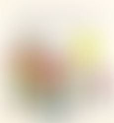 Teaching Kids About Government