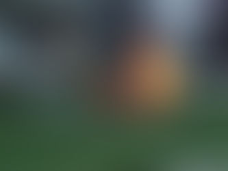 Like a Good Neighbor