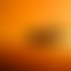 That Woman Who Has Been Fighting To Get Off the No-Fly List for Years? It Was Due to a Paperwork Err