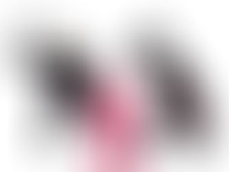 Brickbat: Ending the Dispute