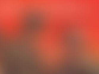 Has Rand Paul Turned Into a Neocon Hawk? Judge for Yourself by His Speech in South Carolina.