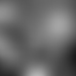 Nick Gillespie Q&A with Hillsdale Collegian: "Live Your Life as a Work of Art."