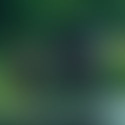 Fracking Tempts the Amish Community