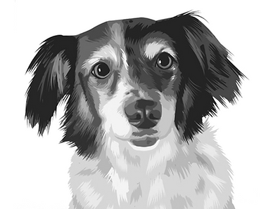 Untitled design (5).png