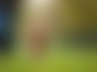 Unlocking Professional Dog Walking Benefits: Why It’s a Game-Changer for Your Dog