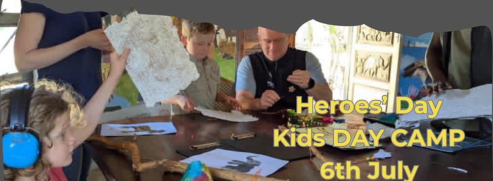 day camp heroes (1).png