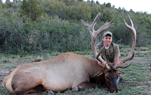 bull-elk-aug-14-2013-310.jpg