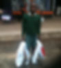 Tino%2BParcels_edited.jpg