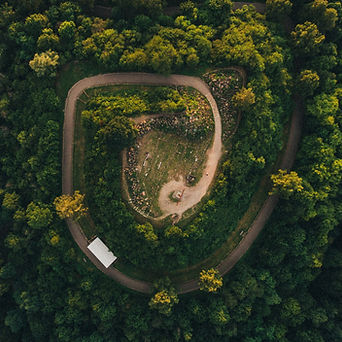 max-bottinger-zbYwNn4xln4-unsplash (1).jpg