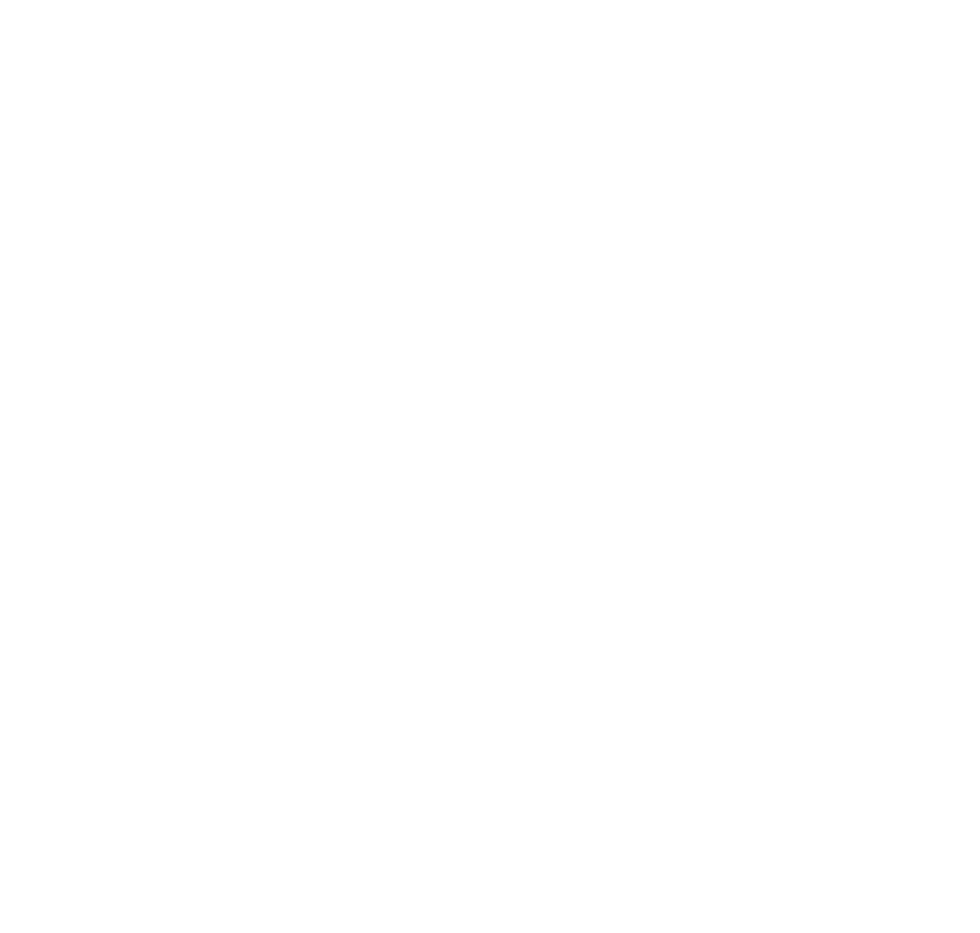 Rockstar Logo