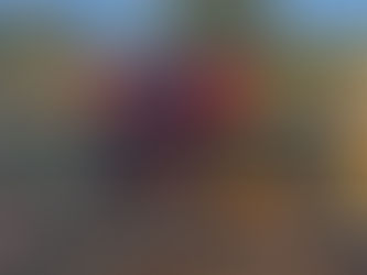 “Clear the Way: Why Removing Tree Stumps Keeps Your Yard Safe, Beautiful, and Healthy”