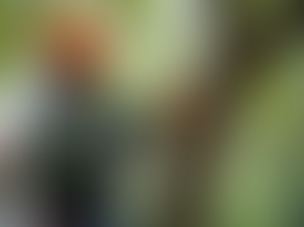 Tree Trimming and stump removal