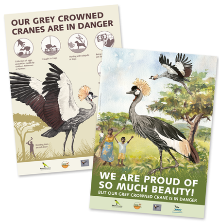 Plakate zum Grey crowned crane, Kronenkranich