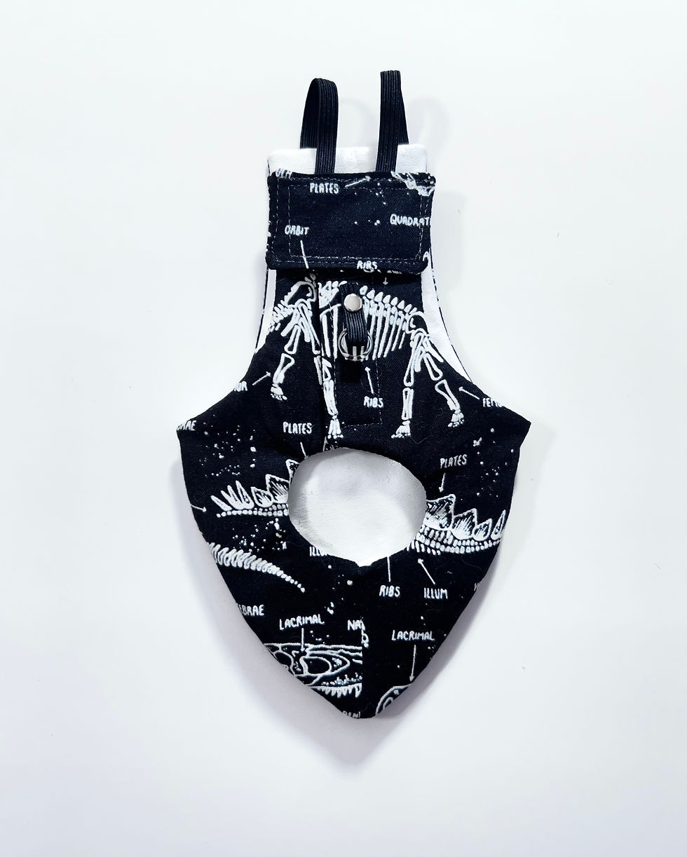 Thumbnail: GLOW IN THE DARK PIGEON PANTS