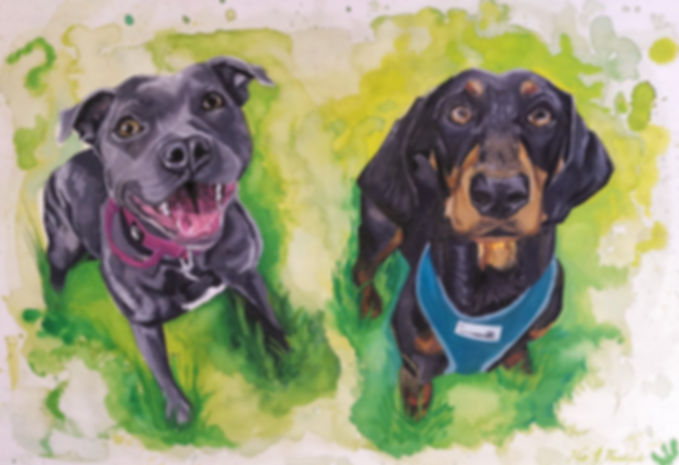 March A3 Pet Portrait Commission