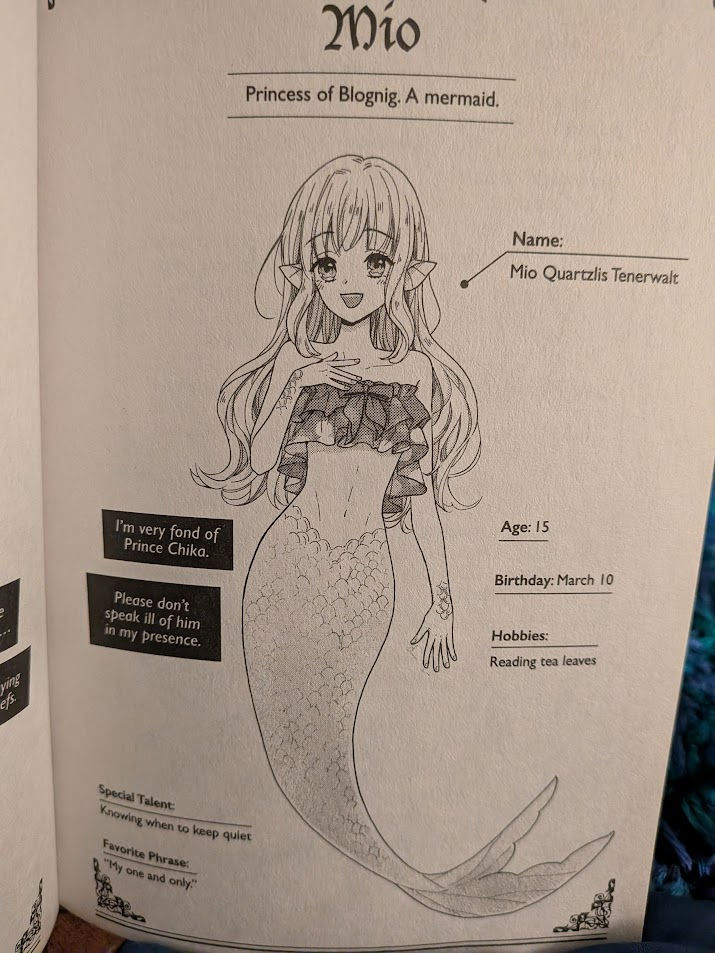 In The Name of the Mermaid Princess Manga Review 