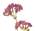 22.png