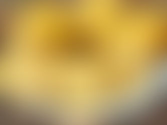 Brioche - Sin huevos ni manteca