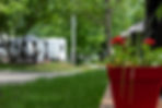 DSCF9903.jpg