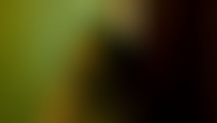 article by bizcommunity