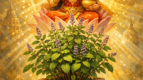 Ayurvedic Herbal Spotlight: Tulsi