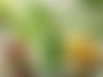 Kratom Smoothie for Anxiety: A Natural Solution