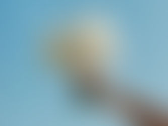 Reception Planning 101: Expert Wedding Advice for South Dakota Couples at The Barn at Aspen Acres