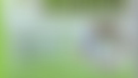 Vente Immobilière Abidjan Iams Group SARL