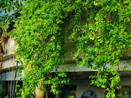 The Green Planet : Friendly zoological park