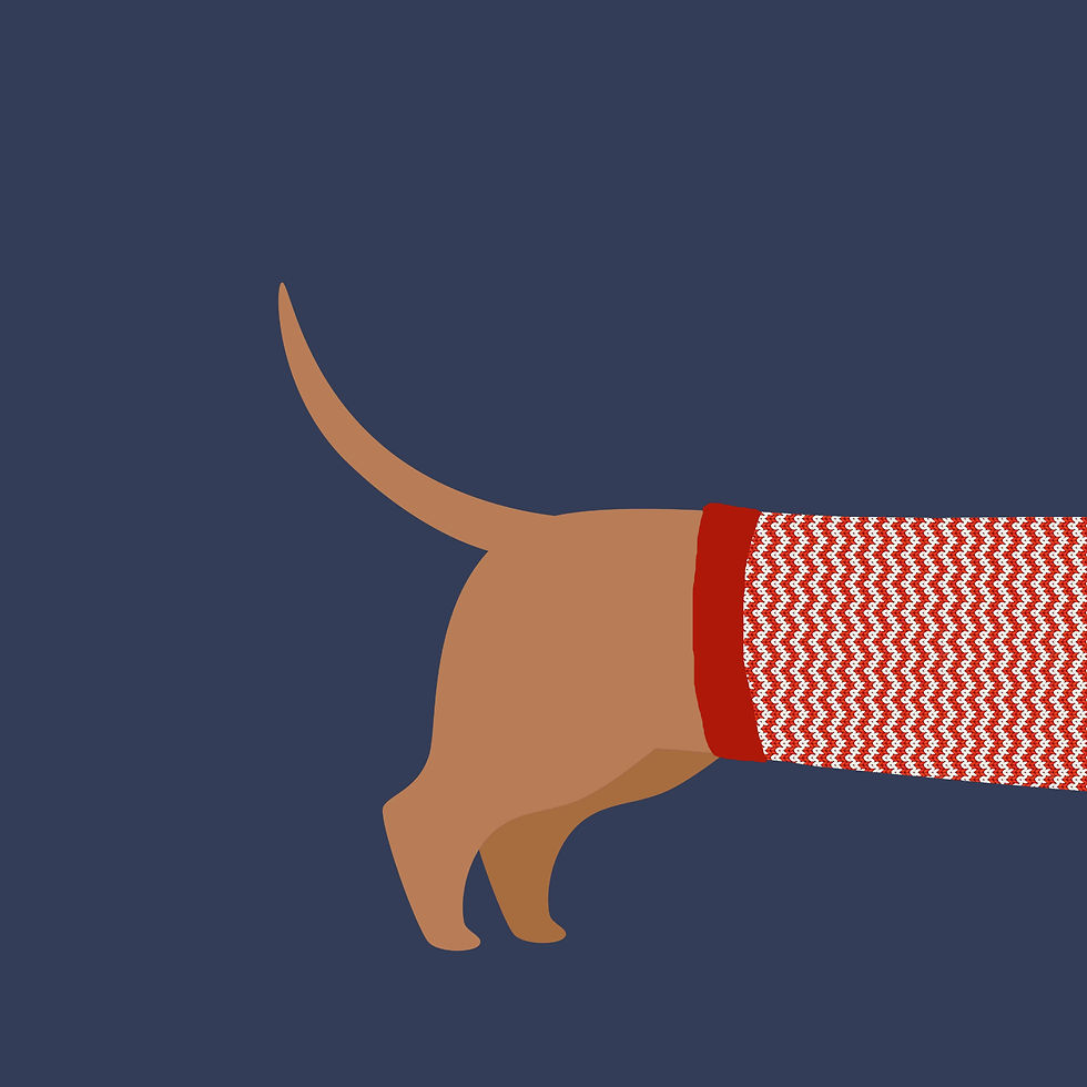 Billy Dachshund-tail