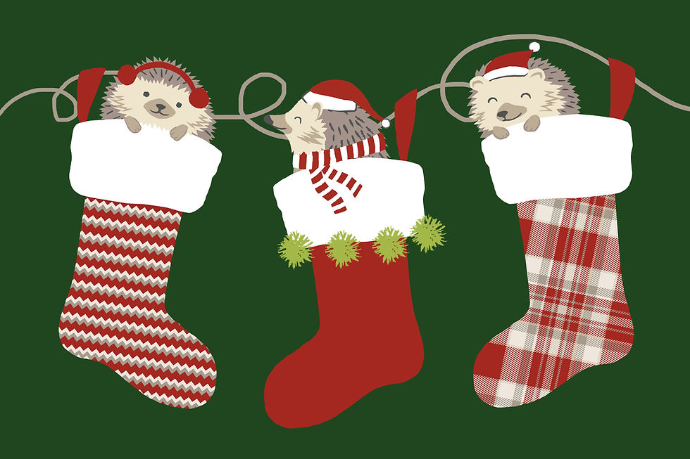 Hedgehog stocking gifts