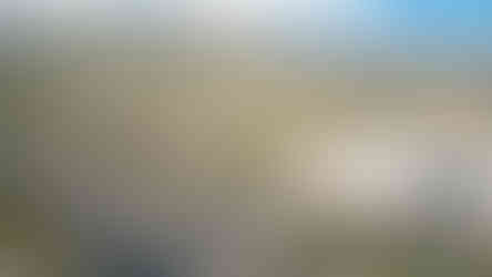 AGP Production-146.jpg