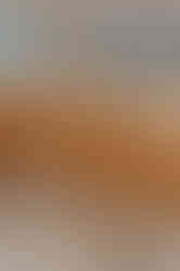 AGPPRODUCTION.COM - AGP06789.jpg