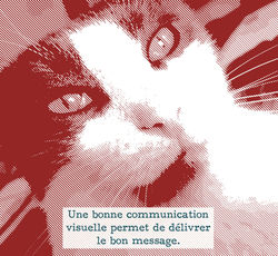 pompon%2Btext_edited