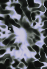 Screen Shot 2021-02-02 at 9.46.12 PM.png