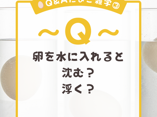 🥚Q&Aたまご雑学③