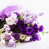image1-5-9.png