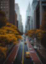 6. 50X70NY