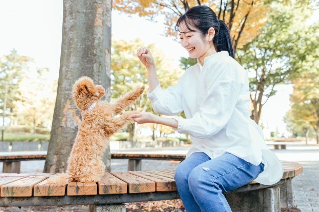 摂食障害が治り食以外で楽しむこと笑うことで満たされるように